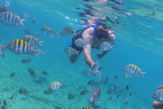 Riviera Maya Luxury Snorkeling Cruise with Lunch and Drinks - Lunch and Open Bar: Good Value, But Know What You’re Signing Up For
