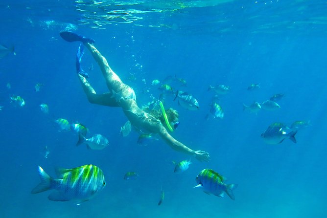 Riviera Maya Luxury Snorkeling Cruise with Lunch and Drinks - Crew, Safety, and the Small Details That Matter
