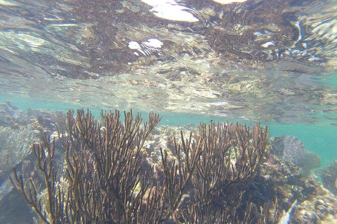 Riviera Maya Snorkeling - Group size and comfort: what “up to 20 travelers” means