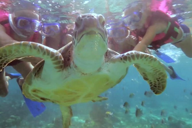 Riviera Maya Snorkeling - The boat ride out: why it can make or break the day