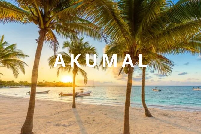 Round private transfer Airport- Akumal - Airport. - Key Highlights Before You Go