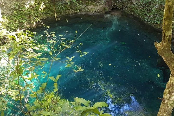 Route of the cenotes (ZAPOTE) - Lunch and After-Cenote Extras: What You’ll Eat and When