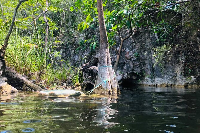 Sacred Adventure at Xenotes! 4 Different Cenotes + Round Transportation - Food and drinks: the included meal is part of the comfort
