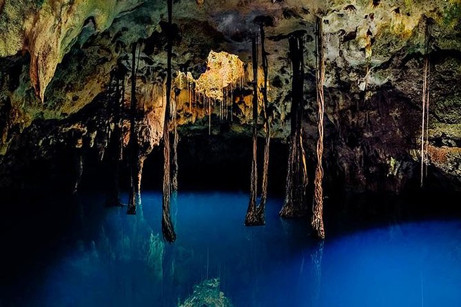 Sacred Adventure at Xenotes! 4 Different Cenotes + Round Transportation - Four cenotes, one route: what your day is really like