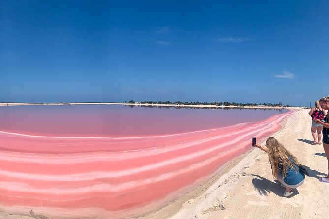 Safari in Rio Lagartos, Coloradas and Mayan Bath - Key highlights at a glance