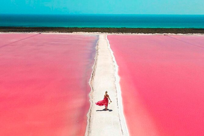 Safari in Rio Lagartos, Coloradas and Mayan Bath - Transport realities: a long day on the bus, sometimes too tight