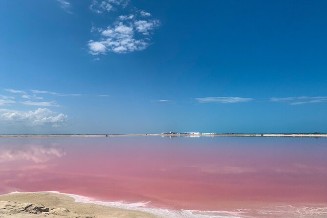 Safari in Rio Lagartos, Coloradas and Mayan Bath - Your guide experience: Jose and Carlos add local context