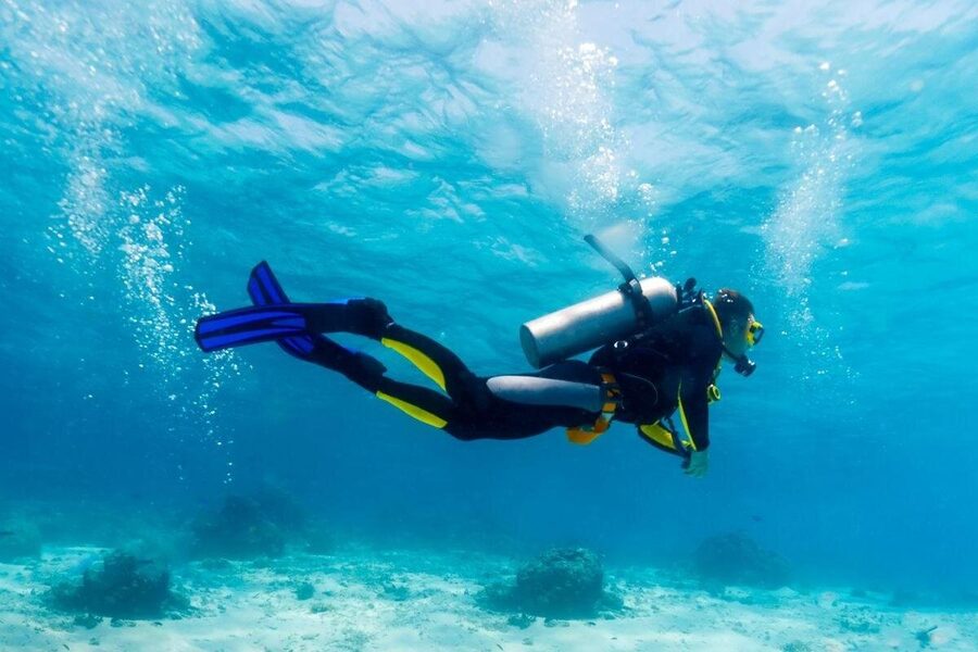 Scuba Certified Diving Immersion at Maroma Beach (1 or 2 tanks) - Underwater highlights you can reasonably expect at Maroma Beach