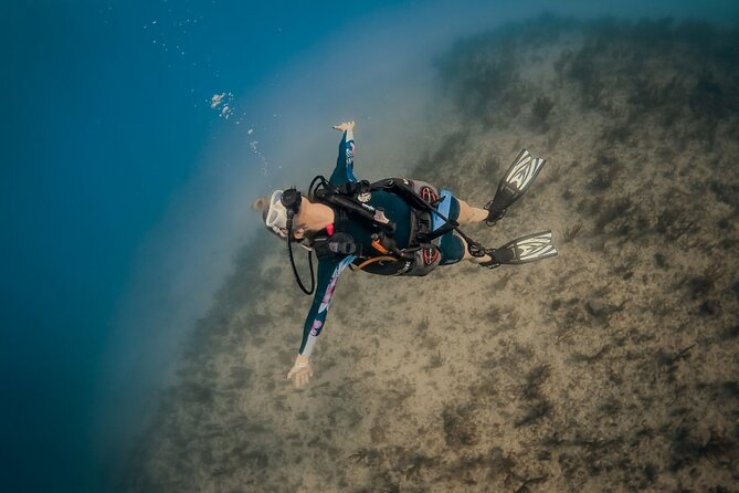 Scuba Certified Diving Immersion at Maroma Beach (1 or 2 tanks) - Who should book this Maroma Beach scuba program