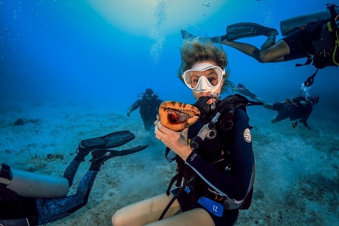 Scuba Certified Diving Immersion at Maroma Beach (1 or 2 tanks) - Value check: the real cost of this Maroma Beach scuba session