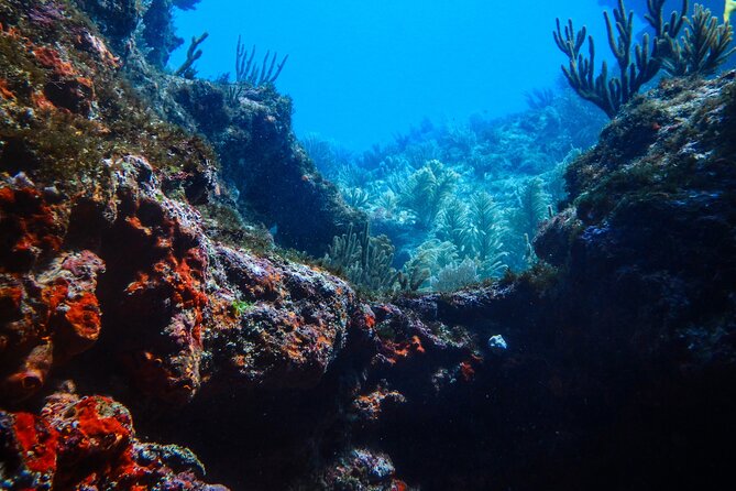 Scuba Diver Certification Course - After certification: turn your skills into a longer scuba story