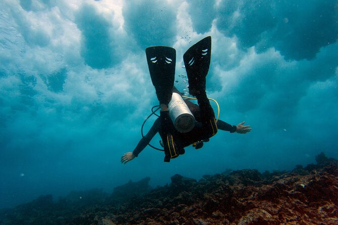 Scuba Diving (1st time) in Cancun Beginner's WELCOMED! - A Beginner-Friendly Scuba Day That Doesn’t Rush You