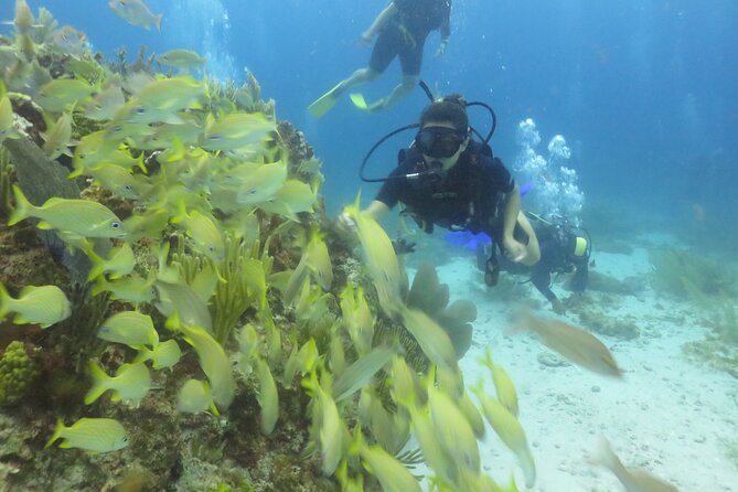 Scuba Diving (1st time) in Cancun Beginner's WELCOMED! - Instructor Coaching That Makes the Difference