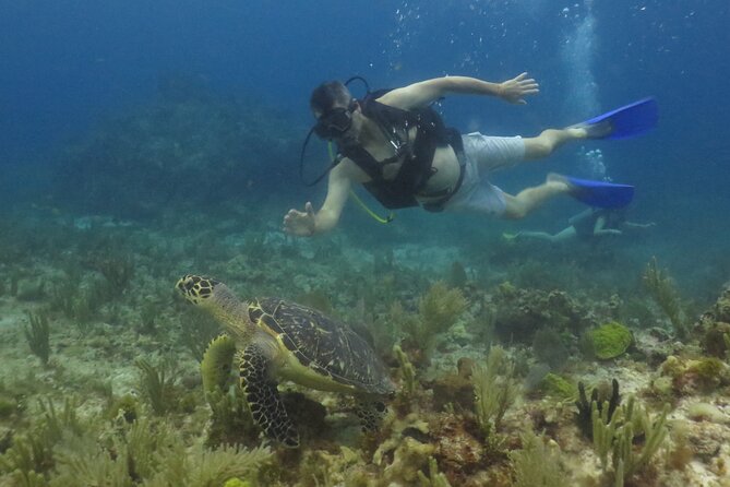 Scuba Diving (1st time) in Cancun Beginner's WELCOMED! - Equipment, Photo Options, and What’s Included