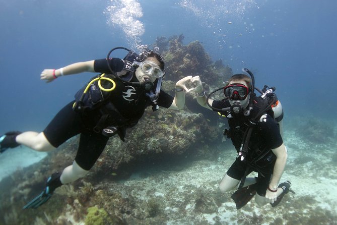 Scuba diving at MUSA the underwater museum for certified divers - Equipment is included, but bring the right mindset