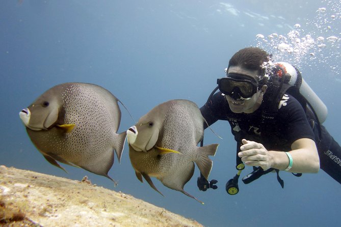 Scuba diving at MUSA the underwater museum for certified divers - What you should pack (without overthinking it)