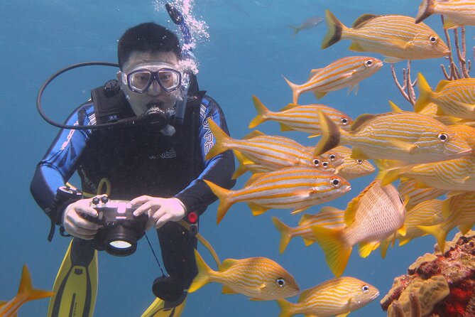Scuba Diving Under Water Museum and Reef for beginners - Timing on the water, including the waiting time that surprises people