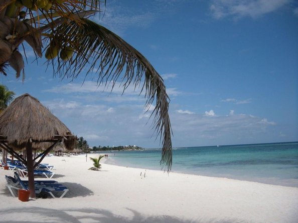 Sea Turtle Snorkeling Ecofriendly Tour from Cancun & Riviera Maya - Key things worth knowing before you go