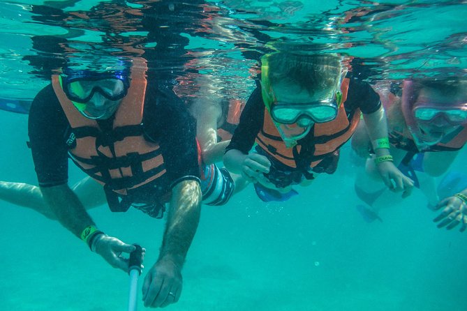Sea Turtle Snorkeling Ecofriendly Tour from Cancun & Riviera Maya - Timing and the “half-day” feeling, from 7:00 am start to hotel drop-off