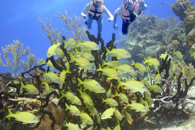 Sea Turtle Snorkeling Ecofriendly Tour from Cancun & Riviera Maya - Who this tour fits best, and who should pass