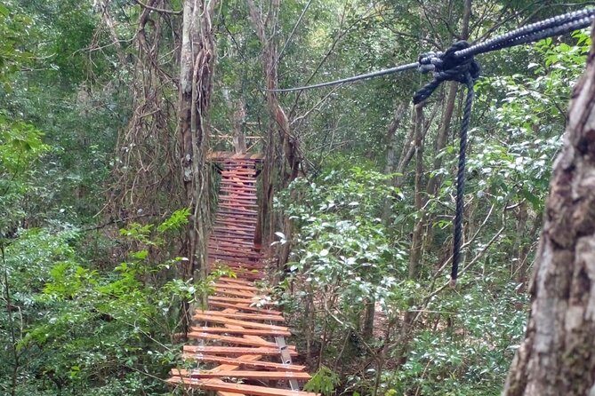 Shared ATV's and Zip Lines and Swimming in a Real Cenote. - The shared ATV circuit: controlled chaos, timed right