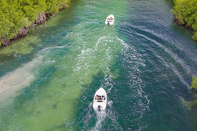 Shared Jungle Speed Boat Tour in Cancun - Laguna Nichpté: the mangrove maze you actually drive through