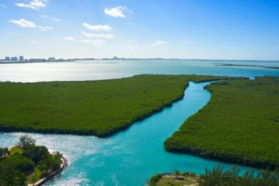 Shared Jungle Speed Boat Tour in Cancun