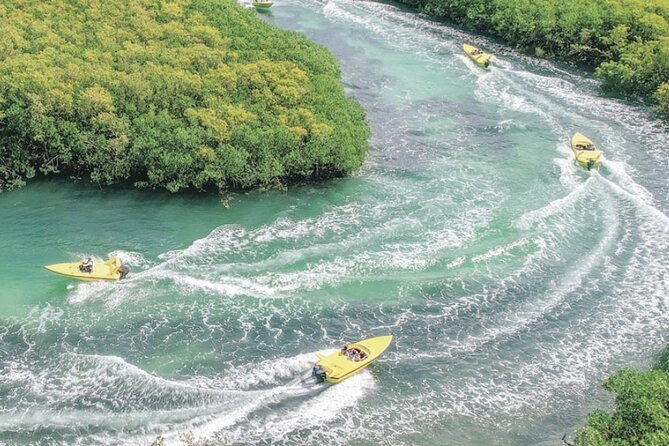 Shared Jungle Speed Boat Tour in Cancun - Who this Cancun speedboat-and-snorkel tour fits best