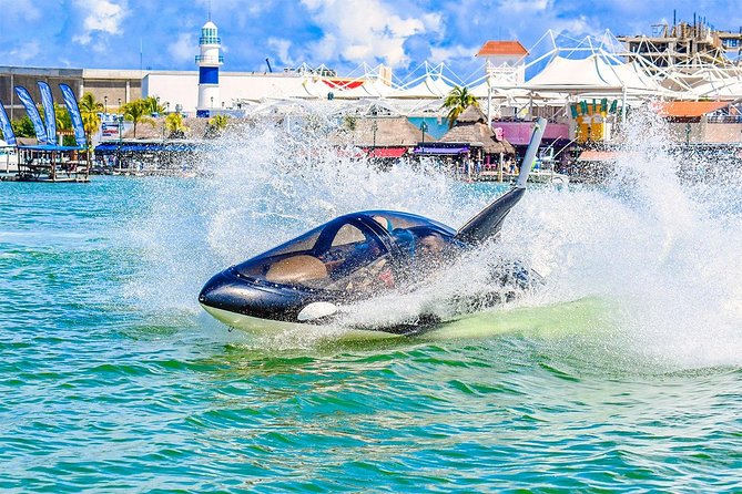 Shark Ride in Cancun - Seabreacher - Value for Money in Cancun: Private Time, Fees, and Extras