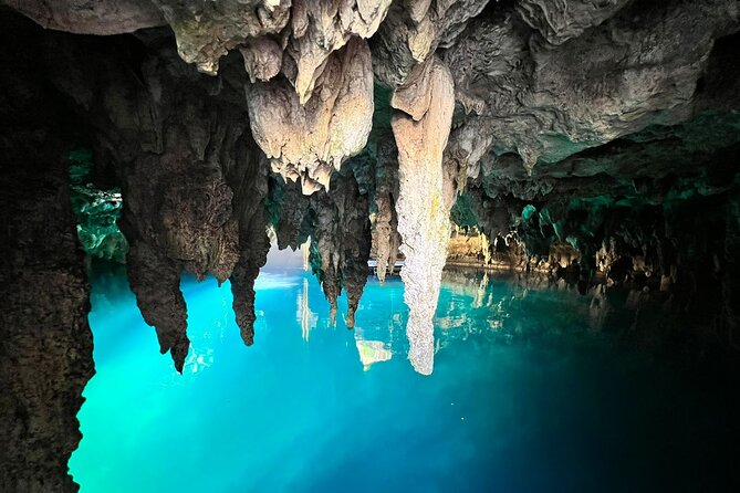 Single ATV, Horseback Riding, Ziplines and Cenote Swim - Lunch, Water, and the Food Reality You Should Plan For