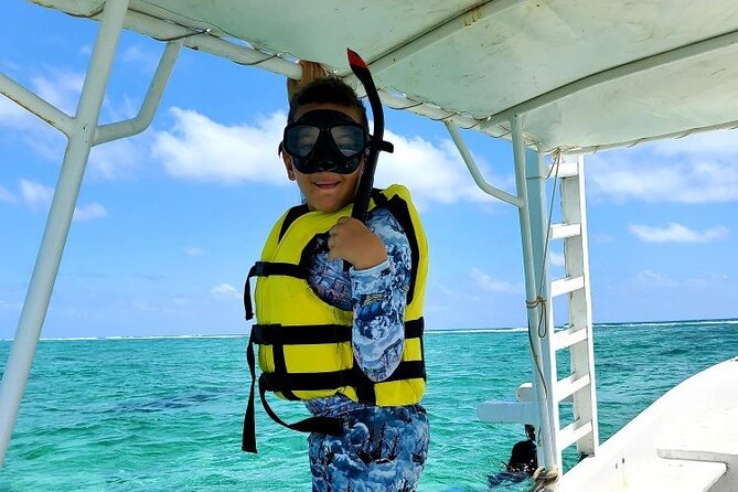Small-Group Mesoamerican Barrier Reef Snorkeling in Puerto Morelos - The 2-Hour Plan: Two Reef Swims From Puerto Morelos