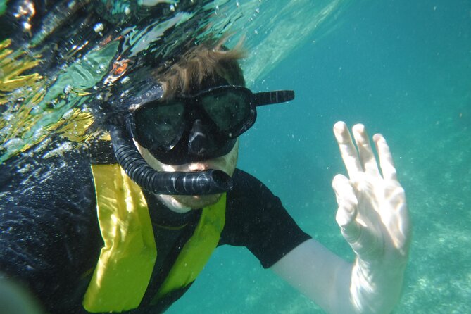 Small-Group Mesoamerican Barrier Reef Snorkeling in Puerto Morelos - What You Might See: Fish, Rays, Turtles, and Coral Clarity