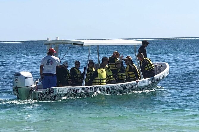 Small-Group Mesoamerican Barrier Reef Snorkeling in Puerto Morelos - Price and Value: Why $45 Can Be a Good Deal