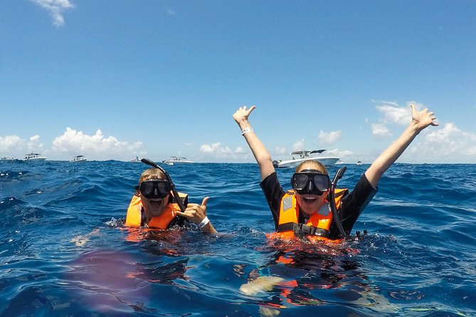 Small Group Whale Shark Encounter - 10 years in business - Lunch and drinks: where the day stops feeling like logistics