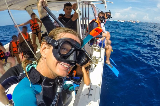 Small Group Whale Shark Encounter - 10 years in business - Photos and videos included, and why that’s worth planning for