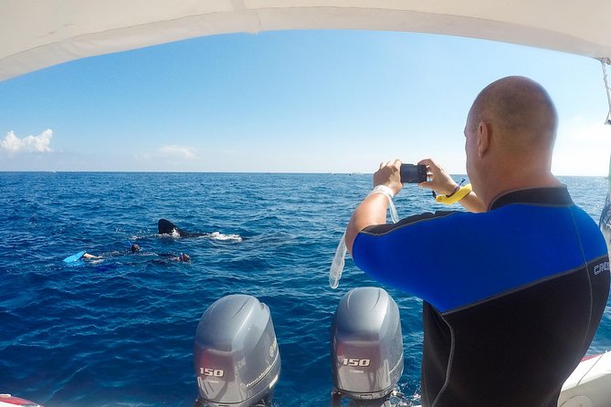 Small Group Whale Shark Encounter - 10 years in business - Price and value: is $199 fair for a max-10 experience?