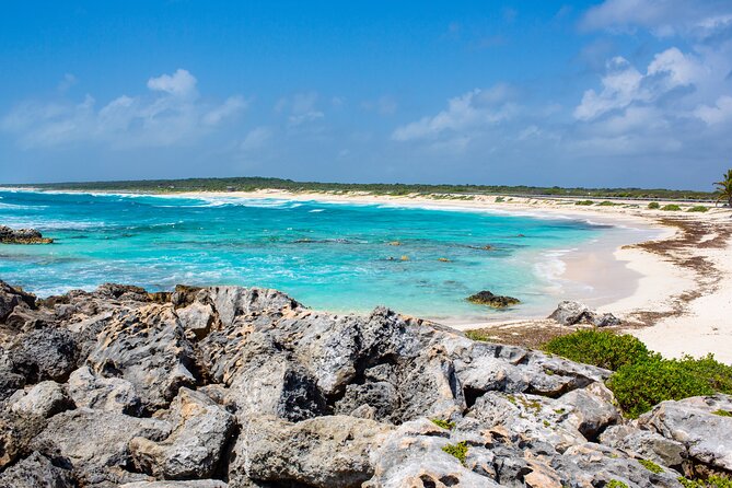 Snorkel and swim in Cozumel el Cielo Reef, Palancar and Colombia - Reef stop 3: Palancar reef and the final reef payoff