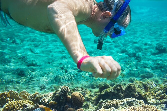 Snorkel and swim in Cozumel el Cielo Reef, Palancar and Colombia - Price and value: what $175 buys you, and what it does not
