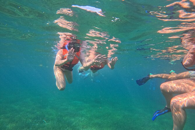 Snorkel at the Reef 2 HOURS Puerto Morelos National park - Stop 1: Puerto Morelos and the reef you can actually see