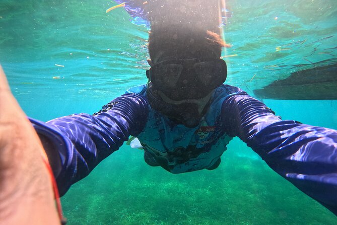 Snorkel at the Reef 2 HOURS Puerto Morelos National park - Marine life highlights you should keep an eye out for
