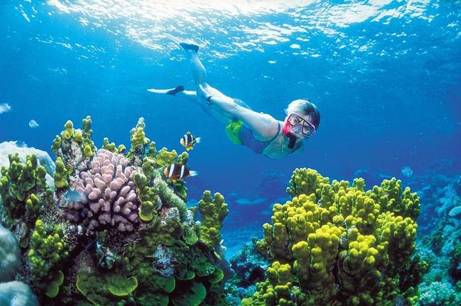 Snorkel, ATV, Zipline and Cenote Adventure from Cancun - From Cancun pickup to the last drop off, how the day really runs
