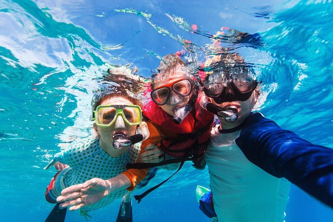 Snorkel in El Cielo Cozumel Reef with Lunch, Beach and Transport - The “should I book it?” decision