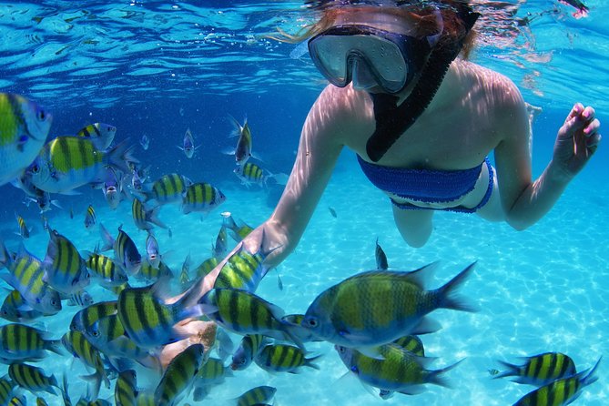 Snorkel in the second largest reef in the world Colorful tour in Puerto Morelos - After snorkeling: private beach club snacks, tequila sampling, and food