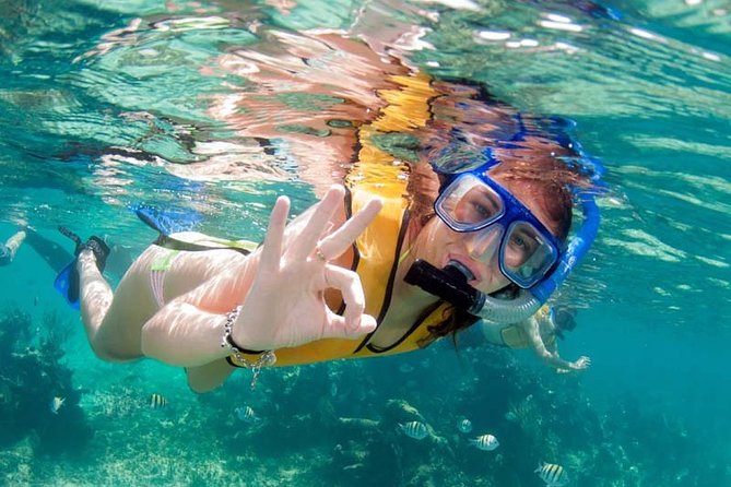 Snorkel in the second largest reef in the world Colorful tour in Puerto Morelos - Who should book this Puerto Morelos snorkel day