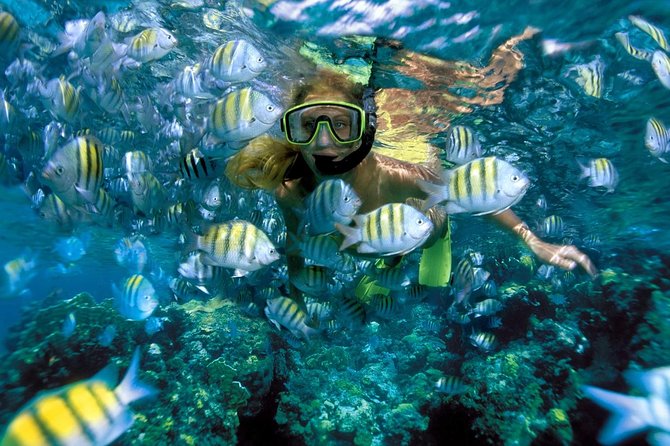 Snorkeling Adventure in Isla Mujeres - Meeting Point, Pickup Timing, and How to Avoid Wasted Wait Time