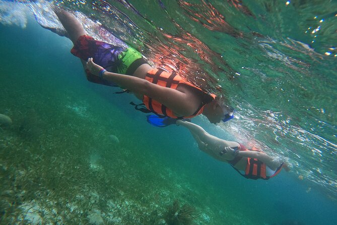 Snorkeling Adventure in Puerto Morelos Includes snack, Water and Round Trip. - How the day runs: pickup, boat, snorkel, and back again