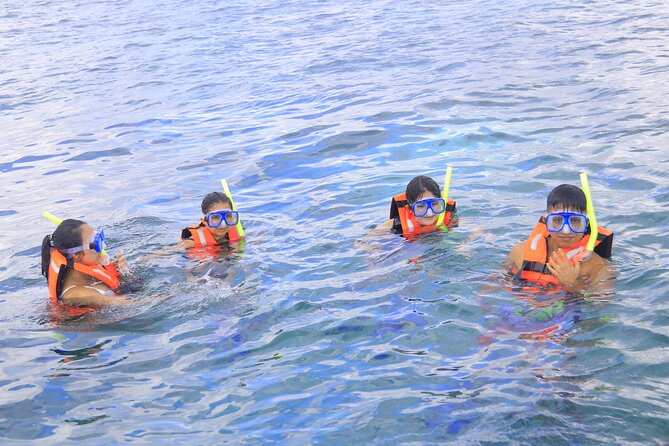 Snorkeling Adventure in Puerto Morelos Includes snack, Water and Round Trip. - The culture walk through Puerto Morelos: crafts and local flavor
