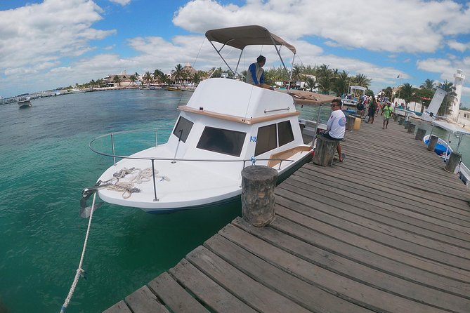 Snorkeling Adventure in Puerto Morelos Includes snack, Water and Round Trip. - National Reef Park snorkeling: what you’ll see and what you must do