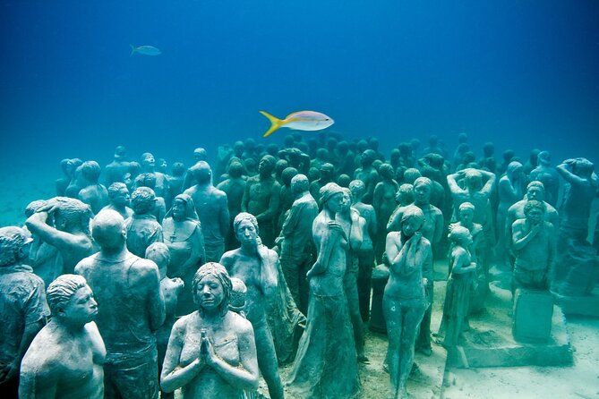 Snorkeling in Isla Mujeres and Underwater Museum - Key Things I’d Focus On Before You Go