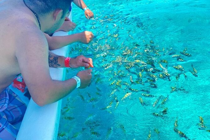 Snorkeling in Isla Mujeres and Underwater Museum - Lunch and Beach Club: What Included Meals Usually Mean Here